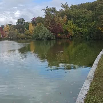 Kissena park