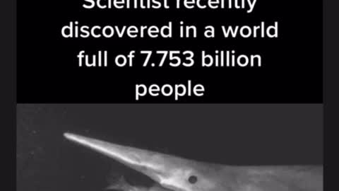 Scientists recently discovered this!