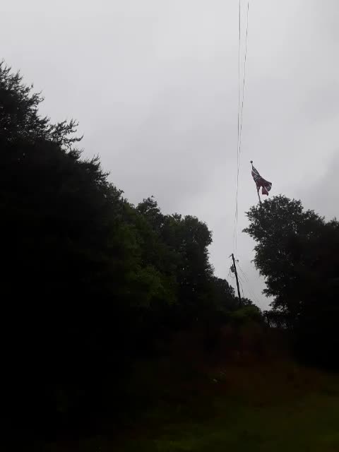 Big REBEL flag flying good today