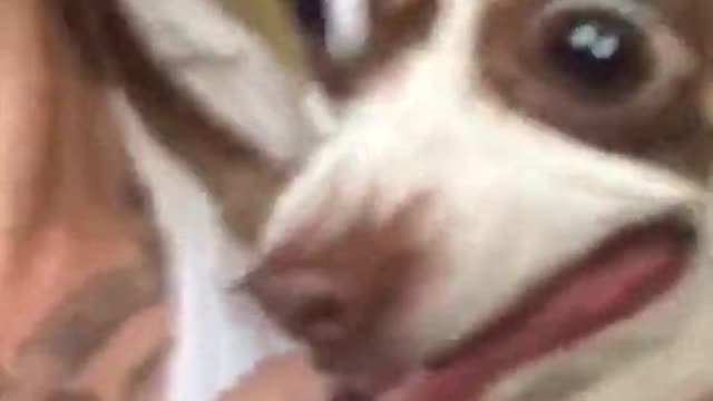 mr bubz