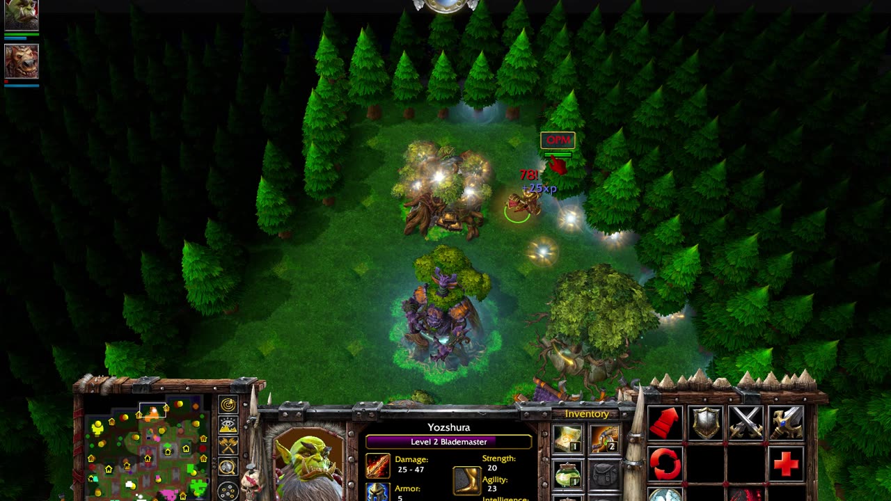 Warcraft 3 Win #45