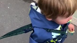 Truck Loving Kiddo Gets a Honk