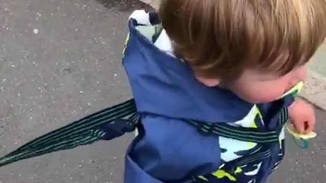 Truck Loving Kiddo Gets a Honk