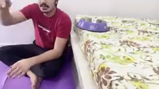 Food training of dog