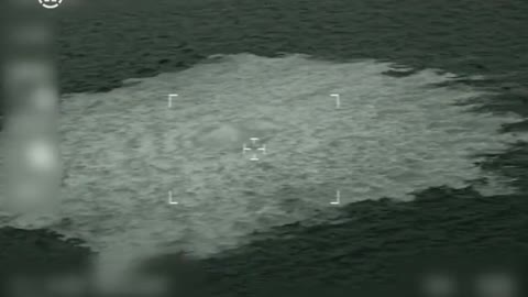 The Danish military published footage from the site of the leak on Nord Stream.