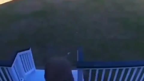 Man Comming step by step