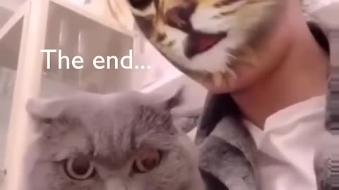 Funny animals vidéos 2024