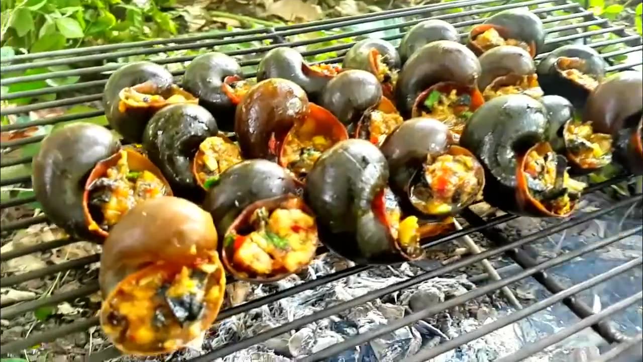 Survival Build Life in Jungle Cooking Snails Steam Food Recipe Eating Delicious