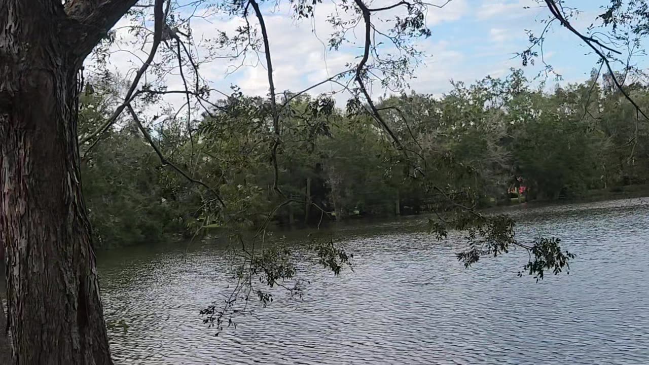 2 Days After Hurricane Milton!