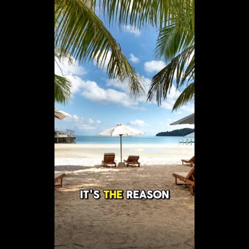 Your WHY Is Your Power