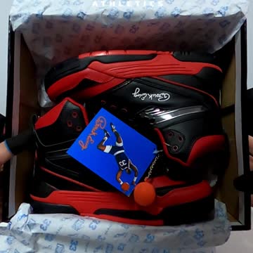 Patrick Ewing ( Death Raw Records🎧) Shoes