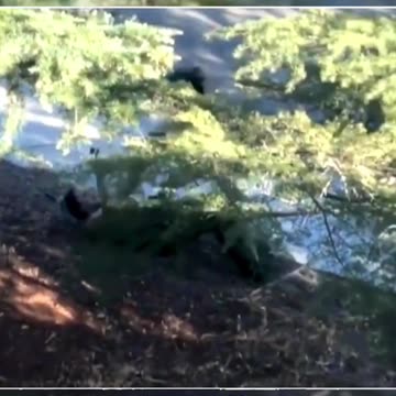 Meagan McCarthy's Gun malfunctioned right as her gun was ...