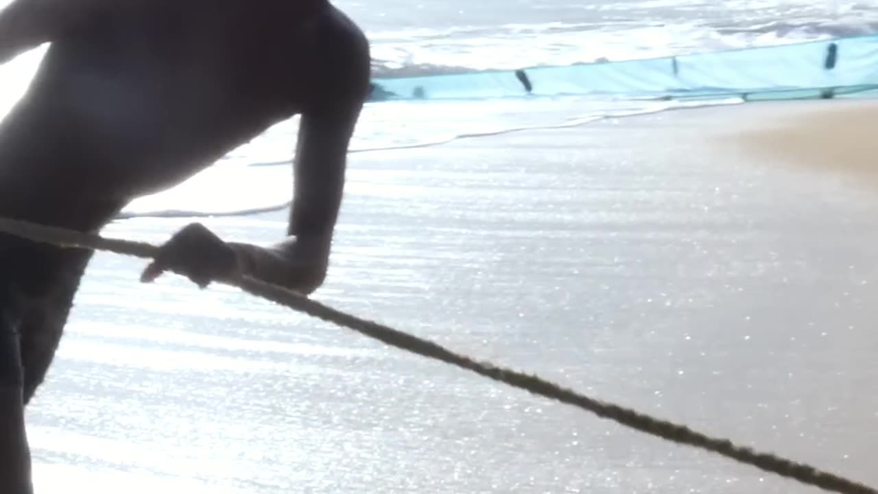 Fishing for Fortune: The Daily Grind of Ocean Harvesting