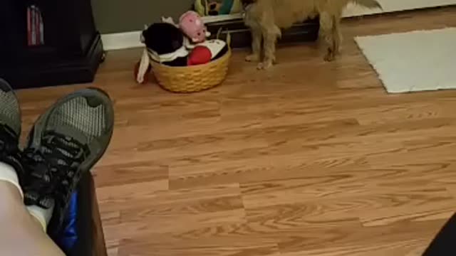 Toy box