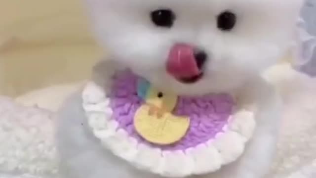 Funny & cute animals. Try Not to laugh