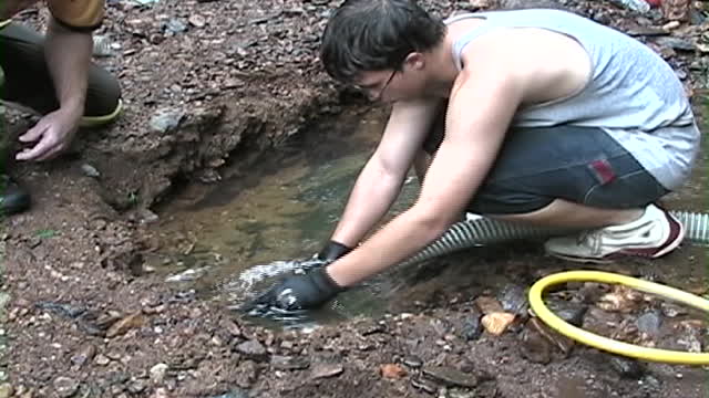 VA Gold On the Creek Slate River July 2008 2