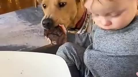 Funny video