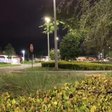 This street light CAME TO PARTY