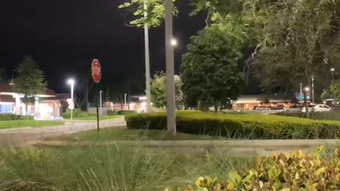 This street light CAME TO PARTY
