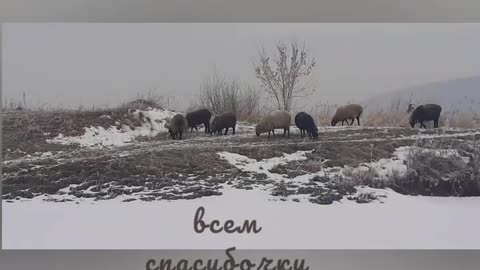 Катание на коньках на озере