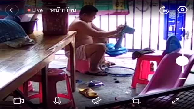 Attention Craving Kitty Keeps Man from Fixing Fan