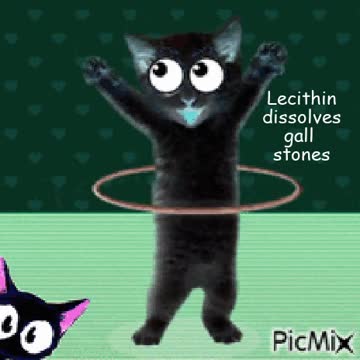 LECITHIN DISSOLVES GALL STONES