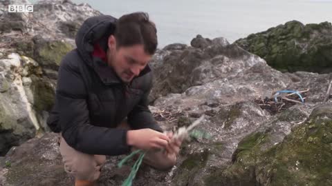 Finding Baby Seals on an Abandoned Island | After We've Gone | BBC Earth