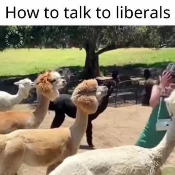 HOW TO TALK TO LIBERALS