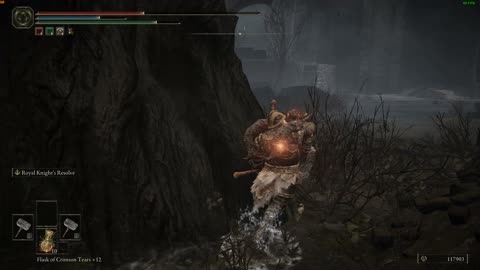 Elden Ring - Ulcerated Tree Spirit (Shadow Keep)