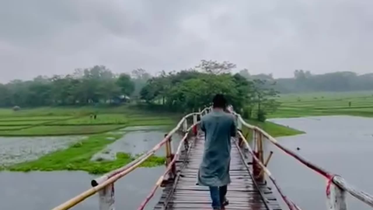 A beautiful rainy day #nature #rain #beautiful #river #water #village #naturalview #shorts #reels