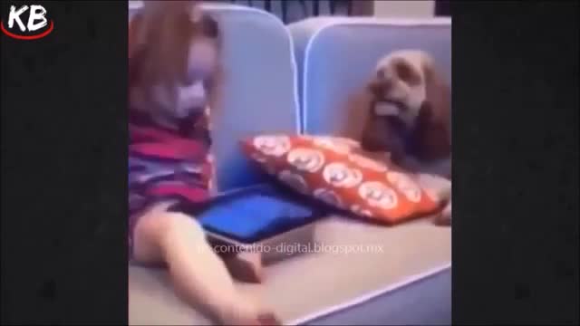 Videos cortos de risa