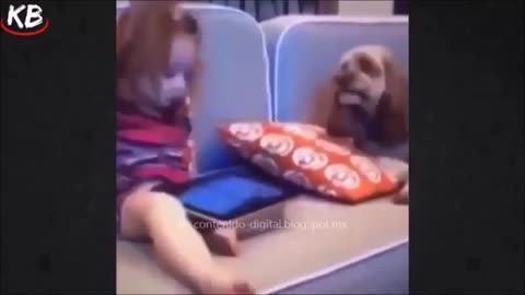 Videos cortos de risa