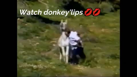 Try Not to Burst Into Laughter🤣🤣 So Funny Video 2022 🐴😁 You Gonna Laugh With Tears