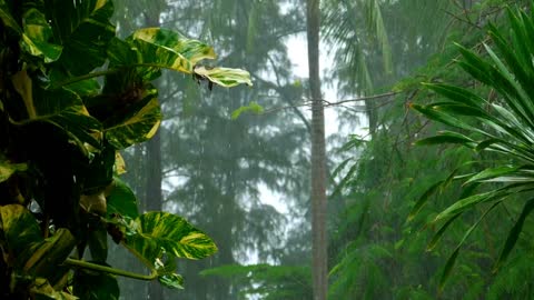 Nature Lover | Beautiful nature scene
