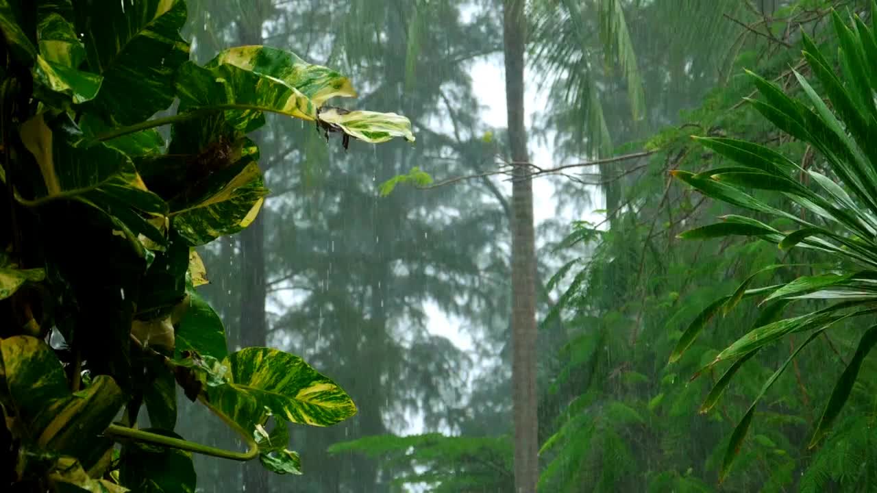 Nature Lover | Beautiful nature scene