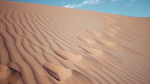 sahara desert