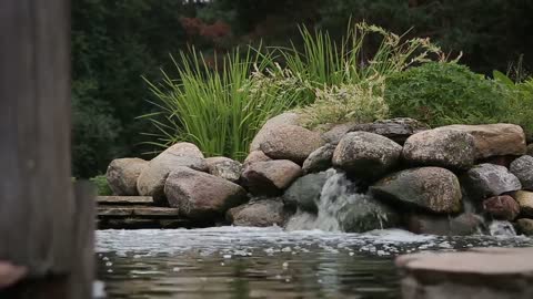 20 min Pure Clean Positive Energy Vibration