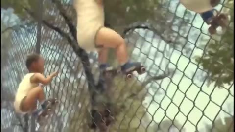 Dance_Monkey___Baby_Dance_Video
