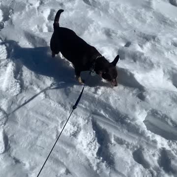 Frozen Chautauqua and a bunch of ice fishing