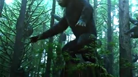 Caesar (Planet of the Apes) Edit (1080p) @ae.dll on TikTok