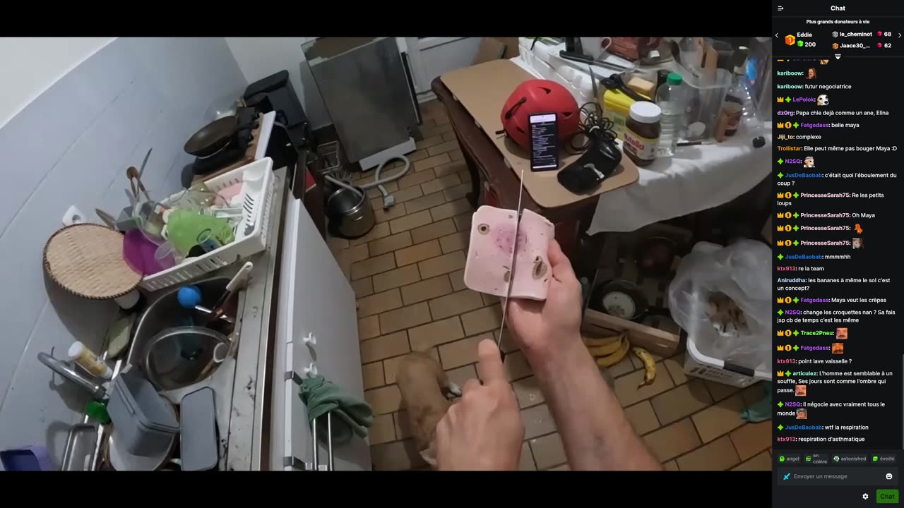 2023-10-20 (6bis) - Le lave-vaisselle est dans le Palace - Kick Triskel (version avec chat)
