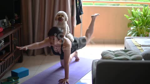 A dog helps his friend1
