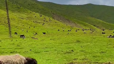 Pakistan beautifull village most attractive and famous