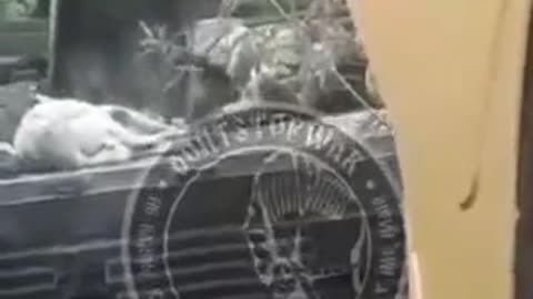 Banderowska Kultura Funeralna