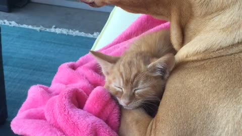 Cute Cuddles Between Best Friends