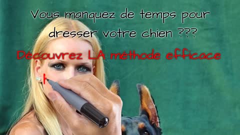 Comment dresser son chien en 15 minutes par jour [Méthode efficace]