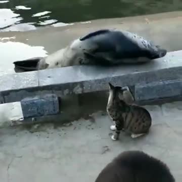 Hey move from my way