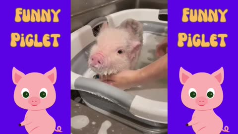 Piglet's Fun Bath Time