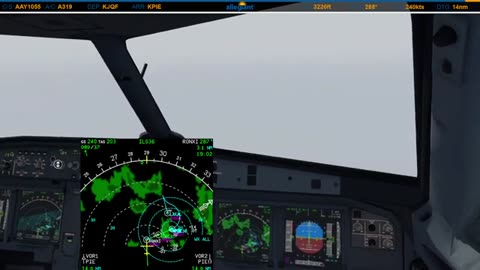 "Landing" During Hurricane Milton in St. Petersburg!