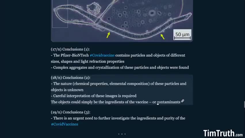 Dr John B.__Microscopic Photos of Vaxxed Blood